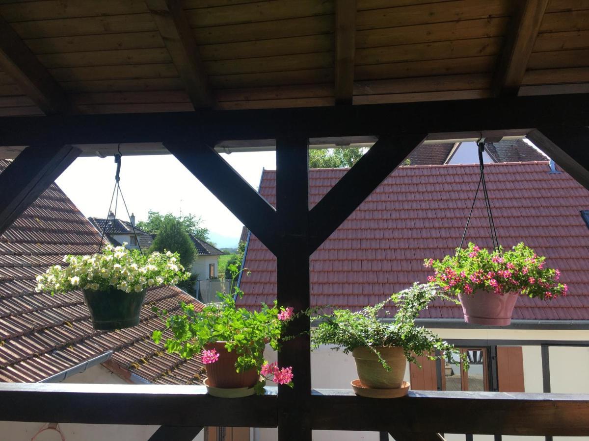Apartmán Bienvenue En Alsace Huttenheim Exteriér fotografie