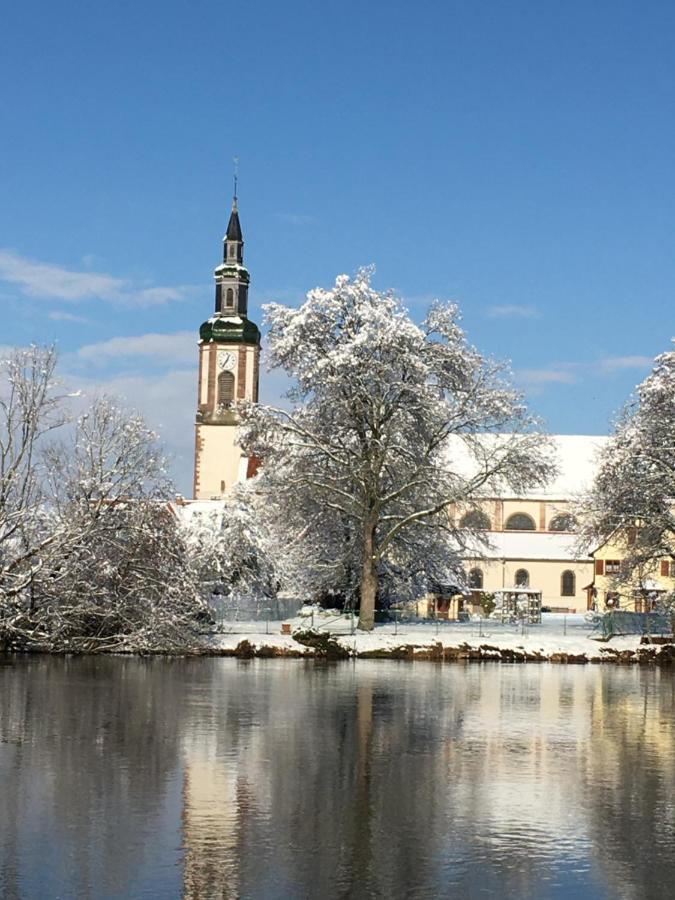 Apartmán Bienvenue En Alsace Huttenheim Exteriér fotografie