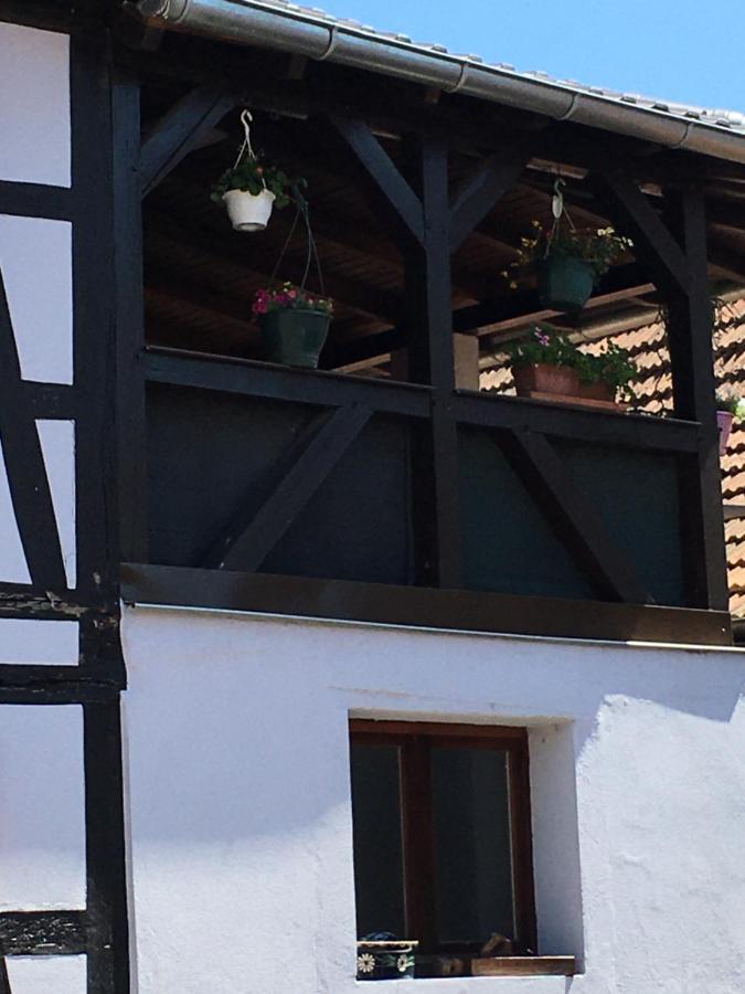 Apartmán Bienvenue En Alsace Huttenheim Exteriér fotografie