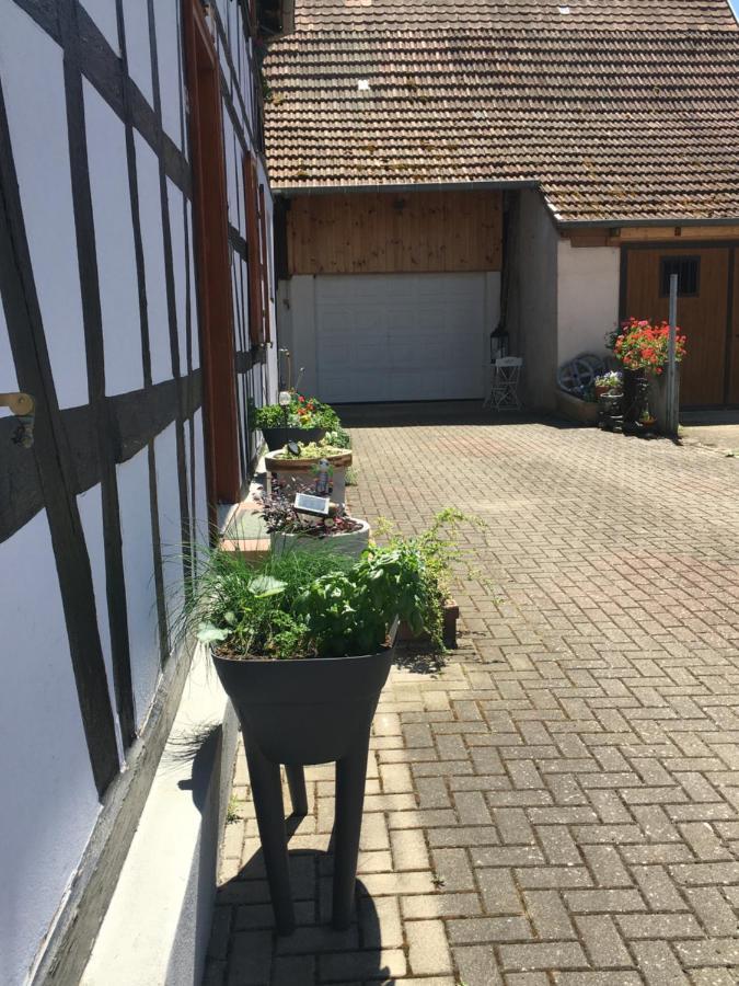 Apartmán Bienvenue En Alsace Huttenheim Exteriér fotografie