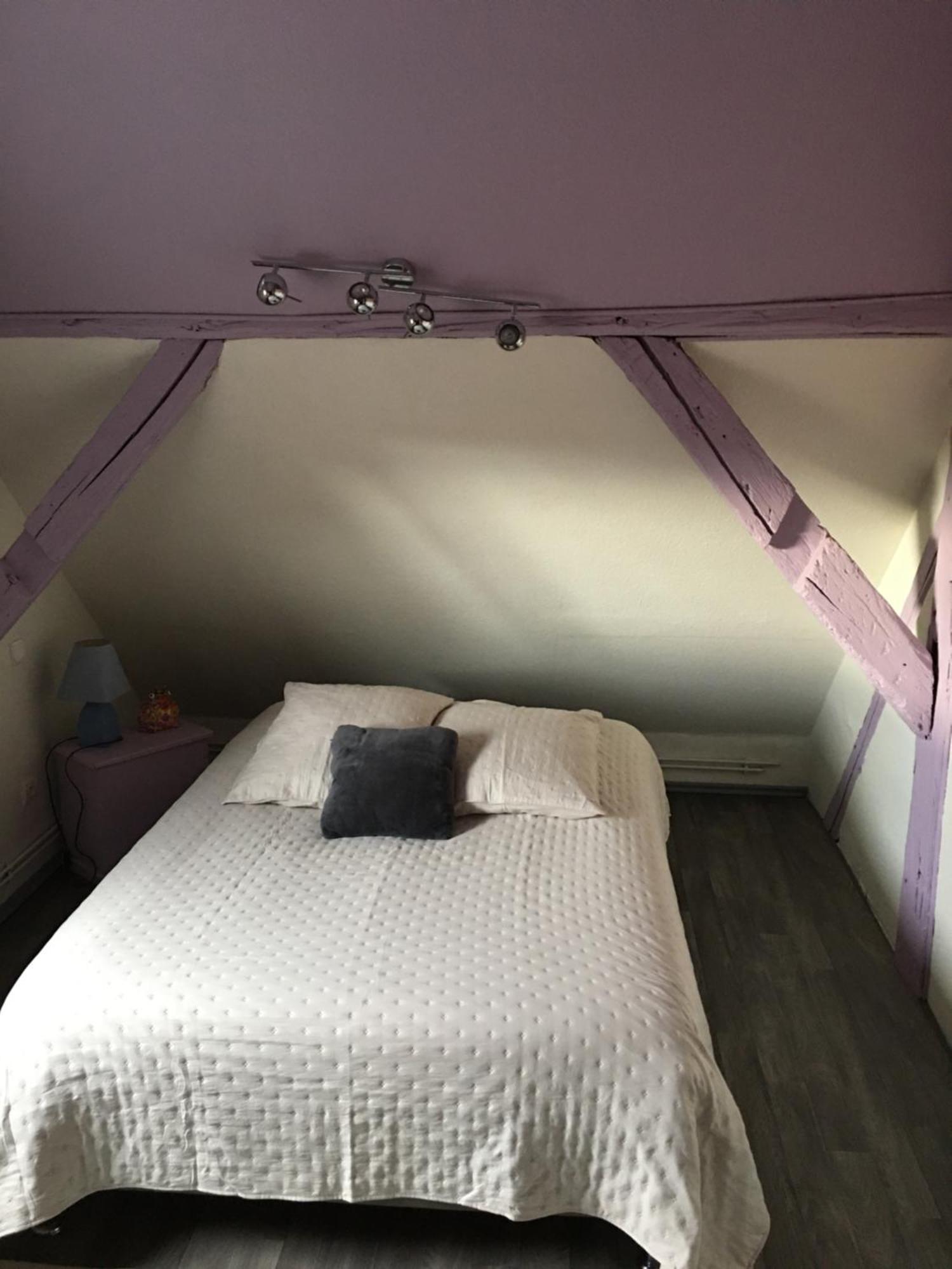 Apartmán Bienvenue En Alsace Huttenheim Exteriér fotografie